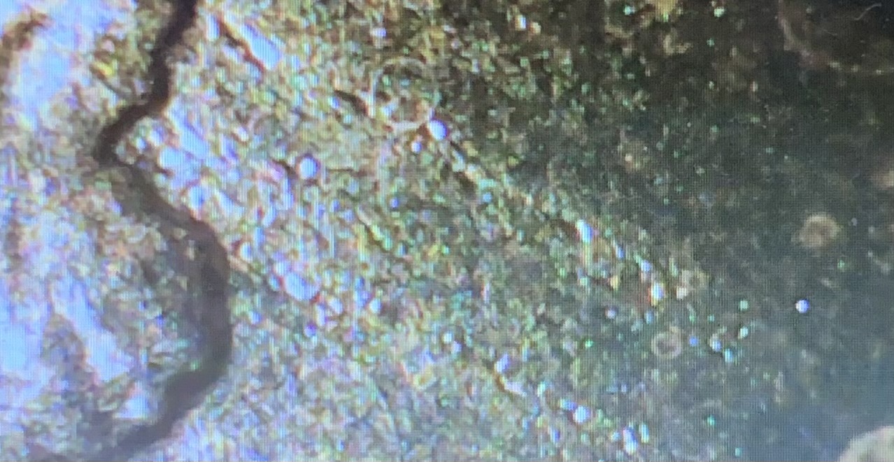 2022-Penny-Markings-?
