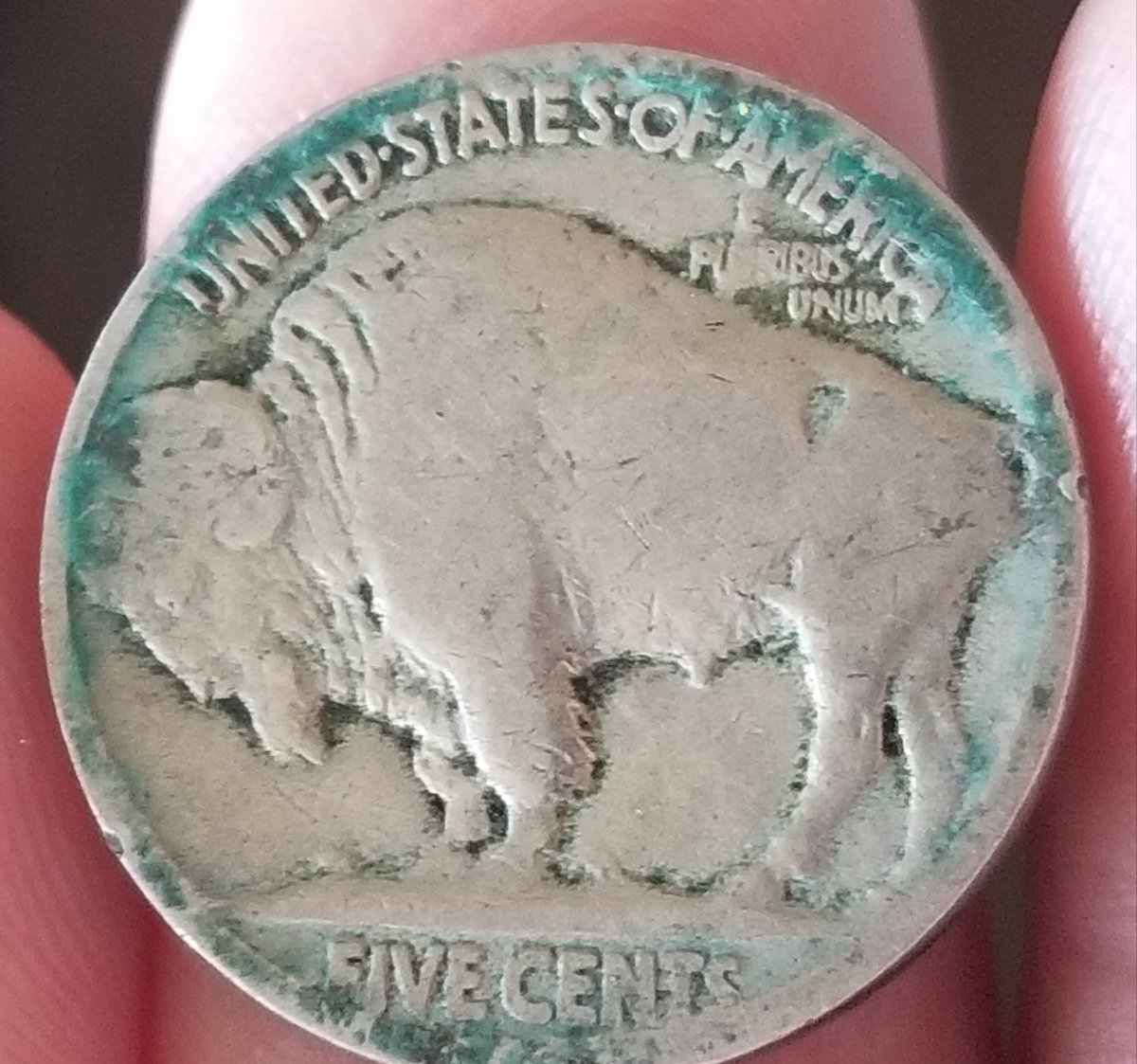Buffalo-Nickel-Turning-Green