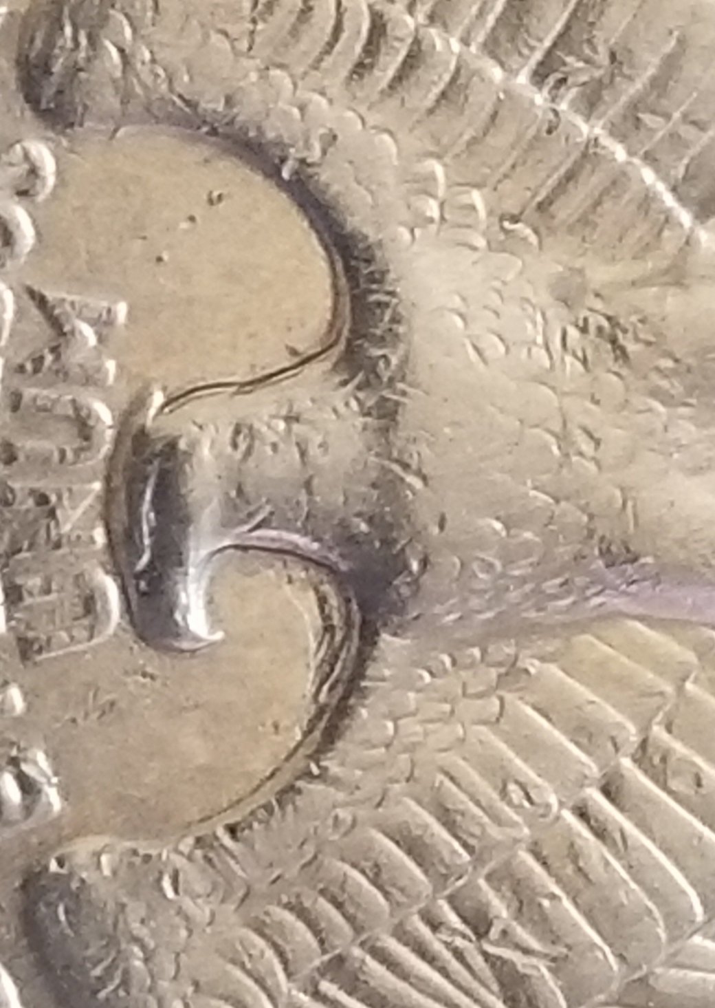 1998-P-Quarter-Reverse-Looks-To-Have-A-Something-Under-The-Eagle