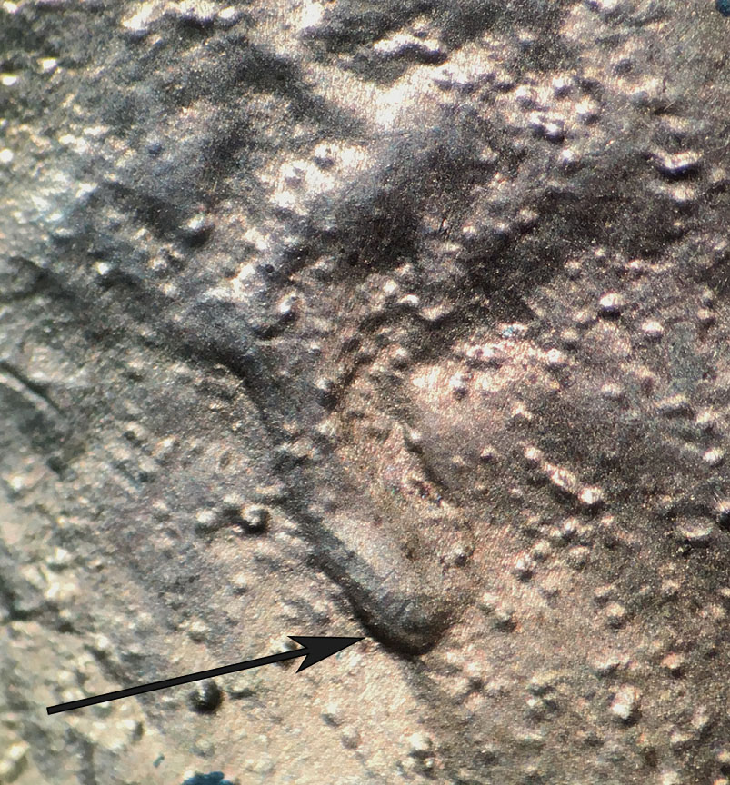 1982-D-Lincoln-Memorial-Cent-Doubled-Die-DDO-001---Doubled-Ear