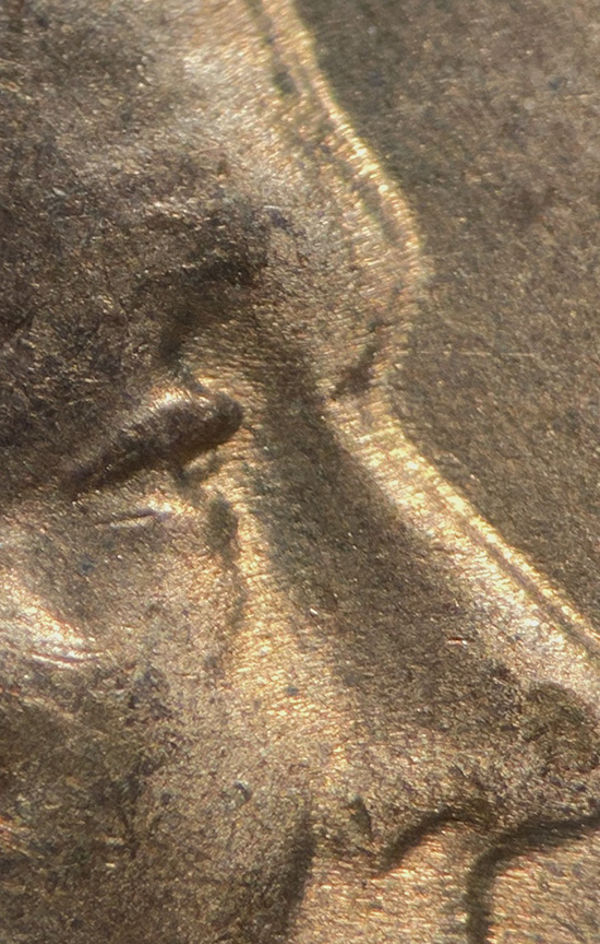 1941-Lincoln-'Wheat-Cent-Doubled-Die---DDO-001,-FS-101-MS-Grade
