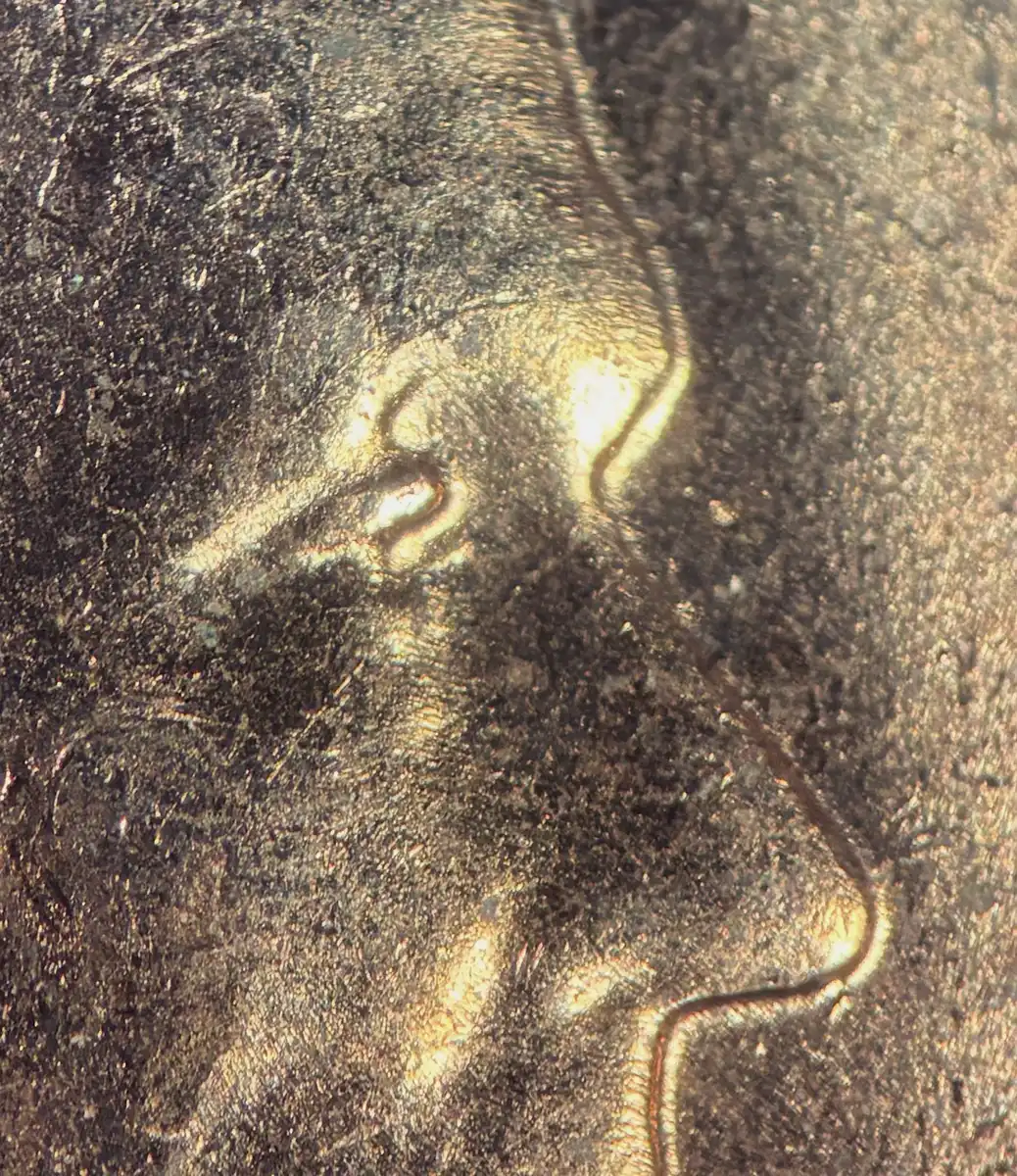 1956-D-Lincoln-Wheat-Cent-Doubled-Die---1-DO-005