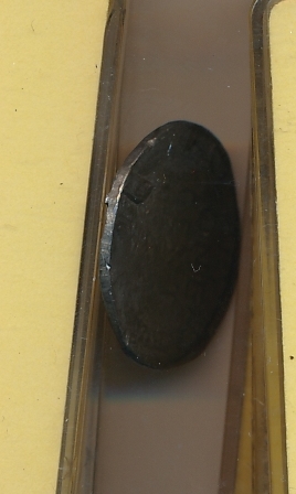Steel-Penny-Do-I-Have-Road-Kill-Or-Something-Else?