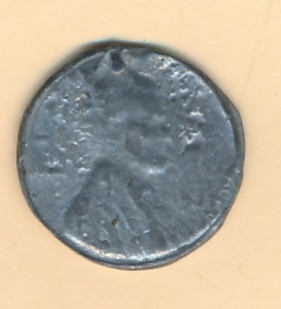 Steel-Penny-Do-I-Have-Road-Kill-Or-Something-Else?