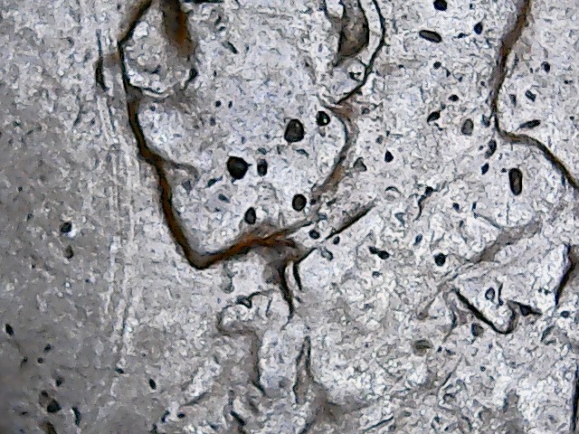Post-Your-Pictures-Of-Low-Mintage-Coins-In-Terrible-Condition