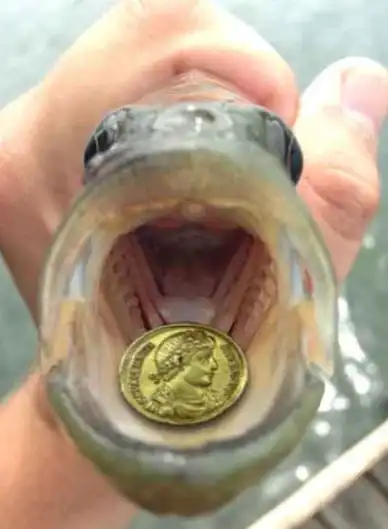 Yet-Another-Forum-Game---Numismatic-Go-Fish!