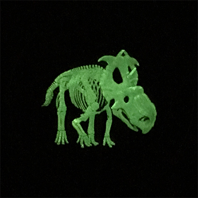 Post-Your-Coins-Representing-The-Animal-Kingdom.