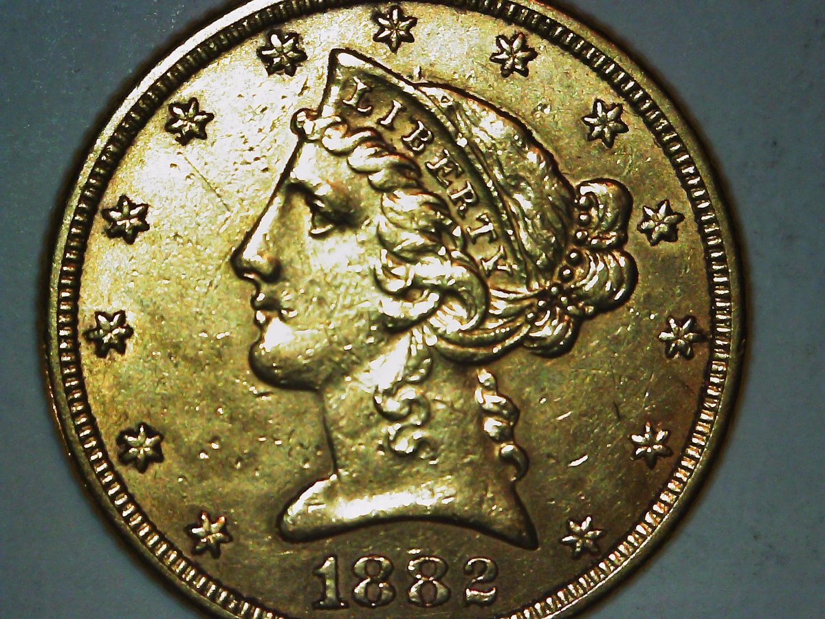 1882-Half-Eagle-For-Grading