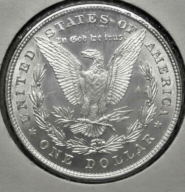 My-1-St-VAM-Pick-Of-2020-And-Its-An-8-Tf-Morgan-Dollar