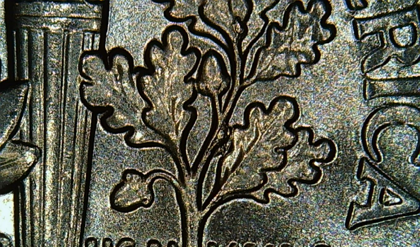 Better-Pictures-Of-The-2022-Dimes