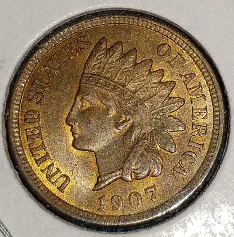 Started-My-Indian-Head-Cents-Collection
