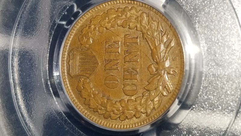 Started-My-Indian-Head-Cents-Collection