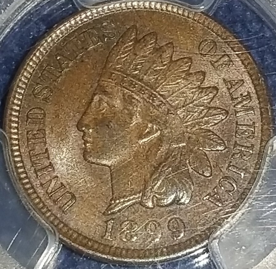 Started-My-Indian-Head-Cents-Collection