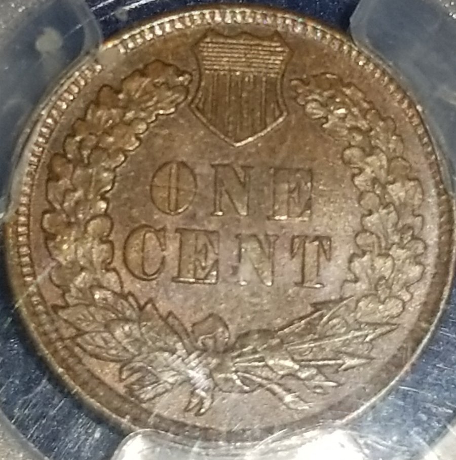 Started-My-Indian-Head-Cents-Collection