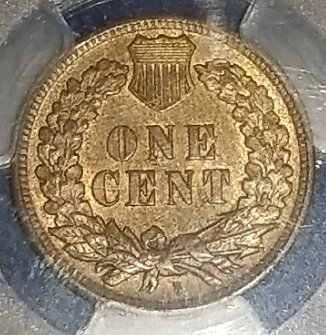 Indian-Cent-Monday-Post-Your-Pics.