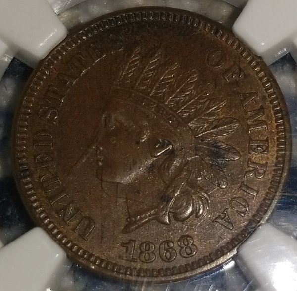 Started-My-Indian-Head-Cents-Collection