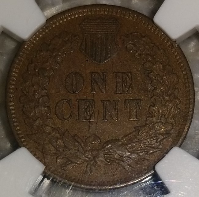 Started-My-Indian-Head-Cents-Collection