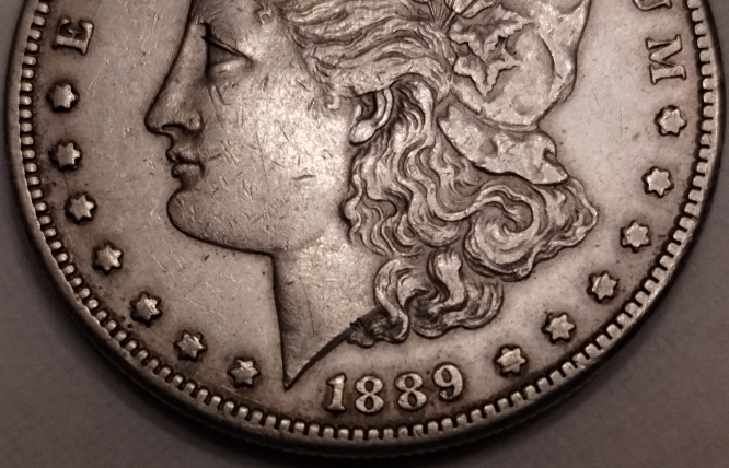 1889-CC-Morgan-Grading-Opinions