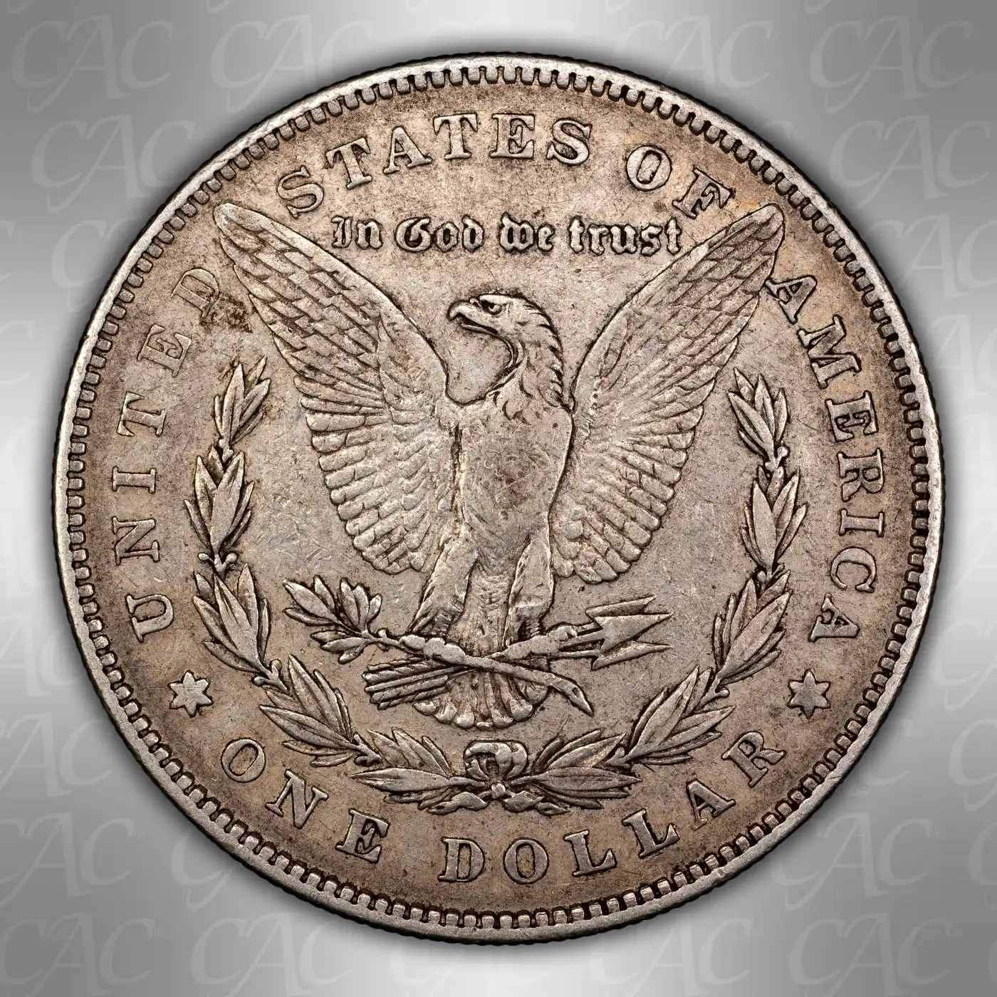 1878-7/8TF-Morgan-Silver-Dollar---You-Vs.-CACG:-Nothingburger-Edition
