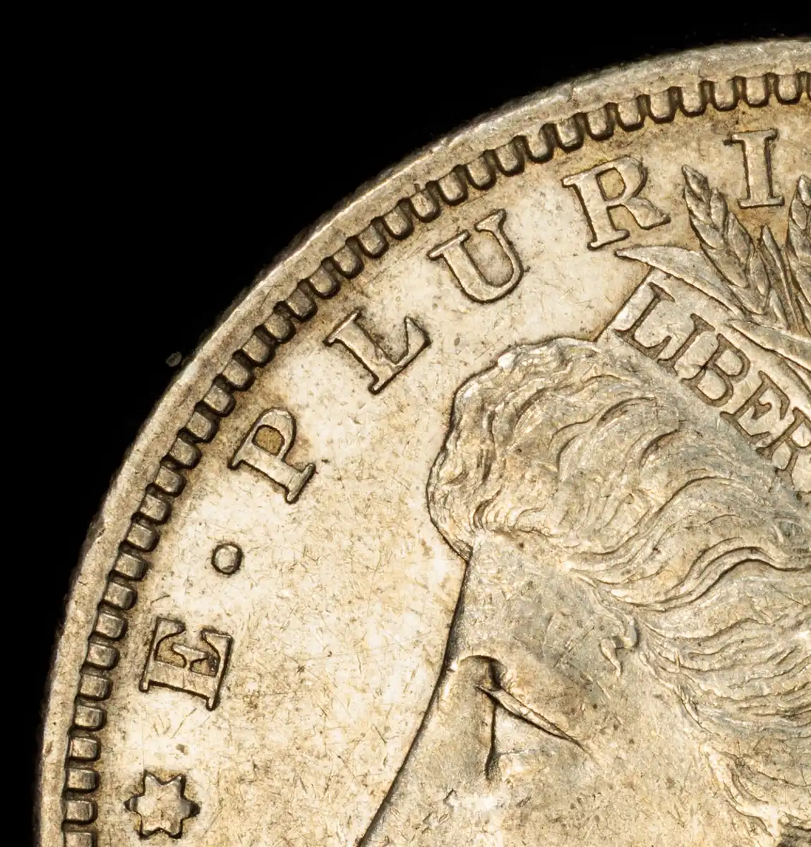 1879-S-R78-Morgan-Attribution---PCGS-Vs-You-And-Me
