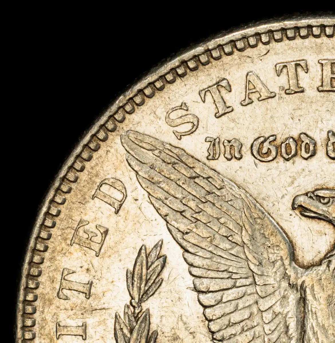 1879-S-R78-Morgan-Attribution---PCGS-Vs-You-And-Me