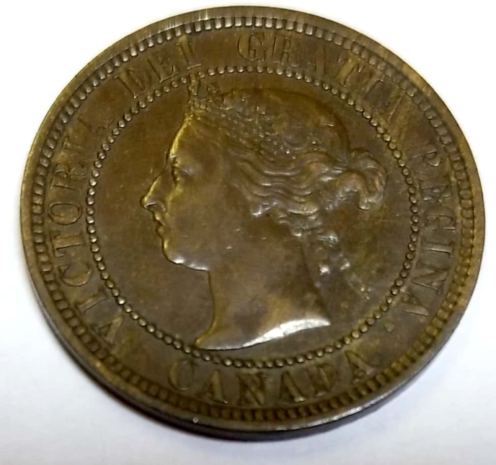 Looking-For-Grade---1888-1c
