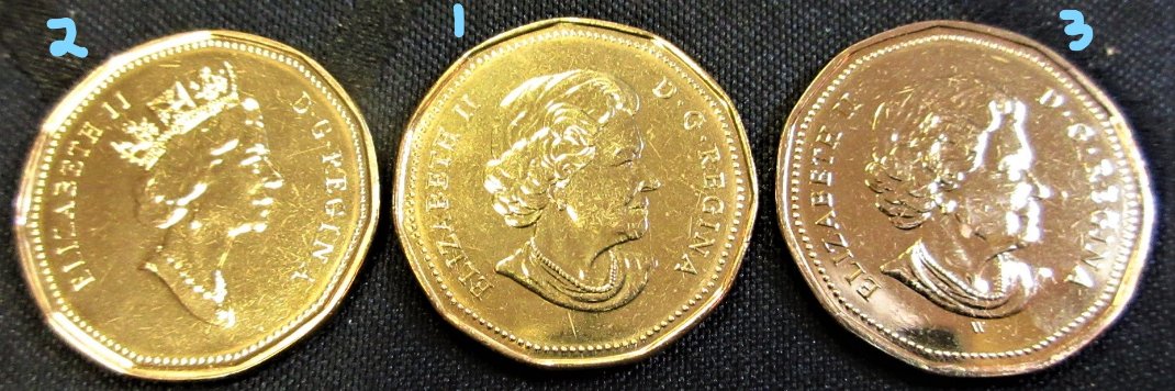 Have-You-Found-These-Loonies?