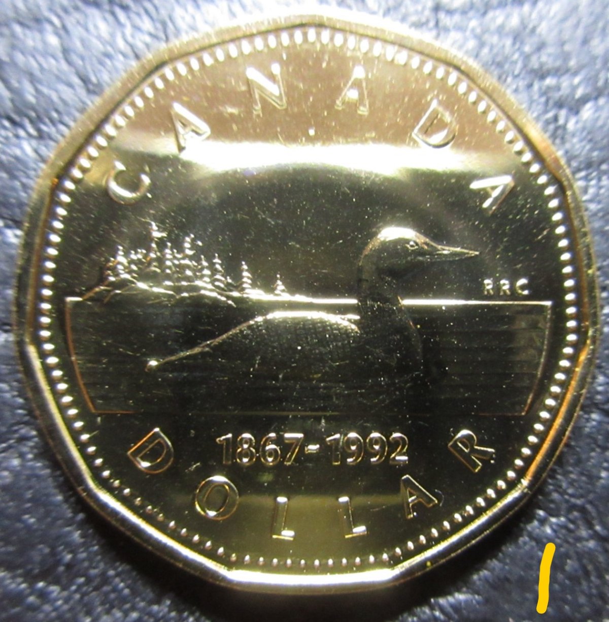 Identifying-1992-Loonie---Is-#1-Specimen-Or-Proof-Like?