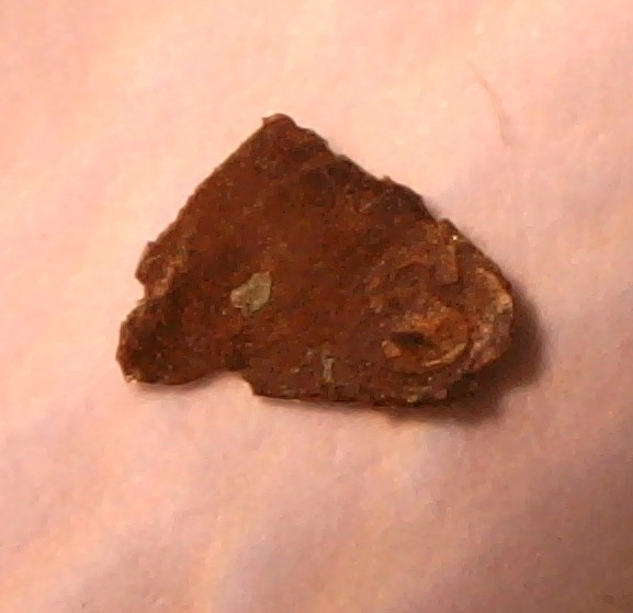 Nickel-And-Cent-Lamination-Peels-No-Date
