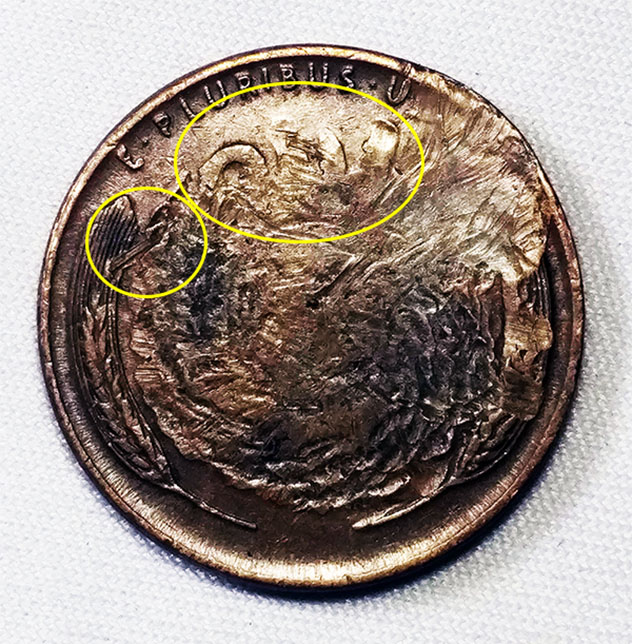 Any-Thoughts-On-My-1948-Wheat?-Possible-Mule-Clash