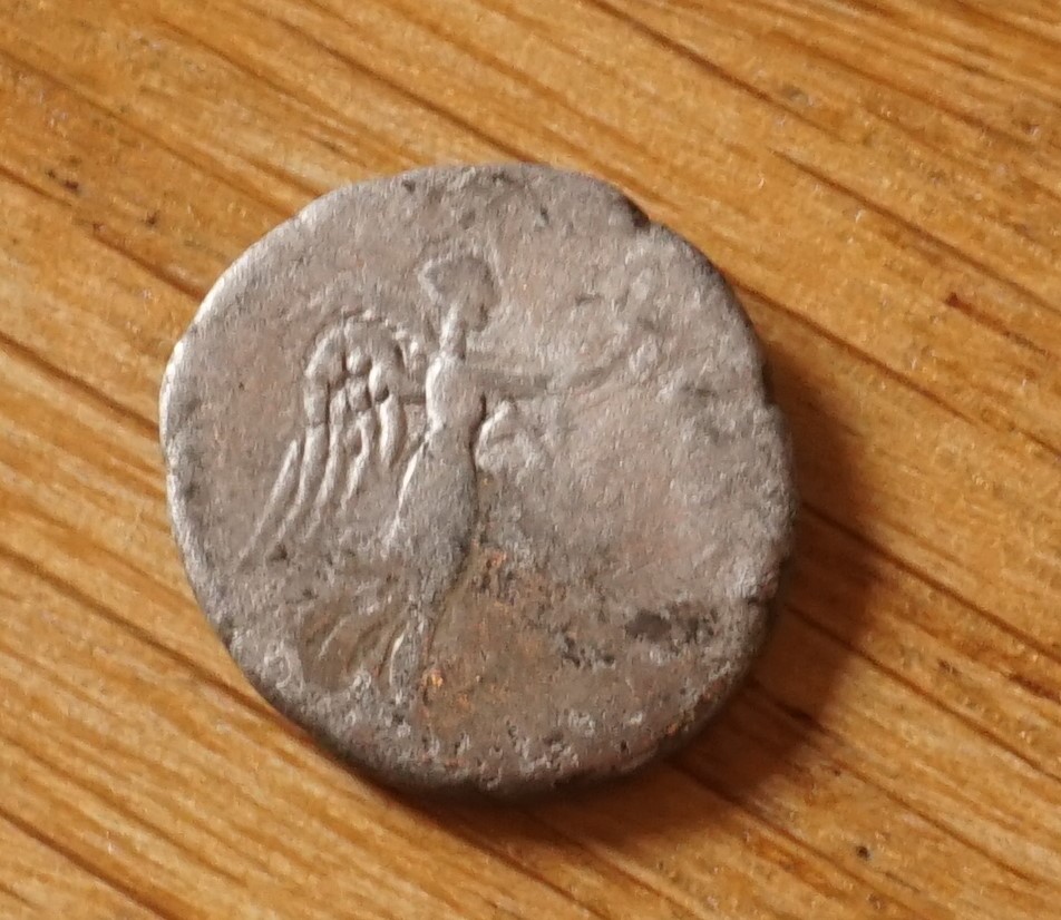 Early-Quinarius-Type?
