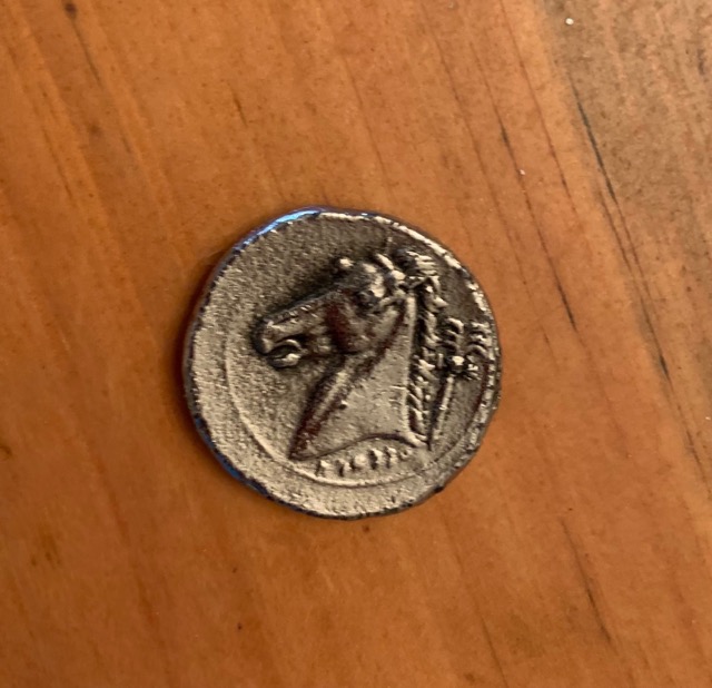 Need-Help-Identifying-Coin