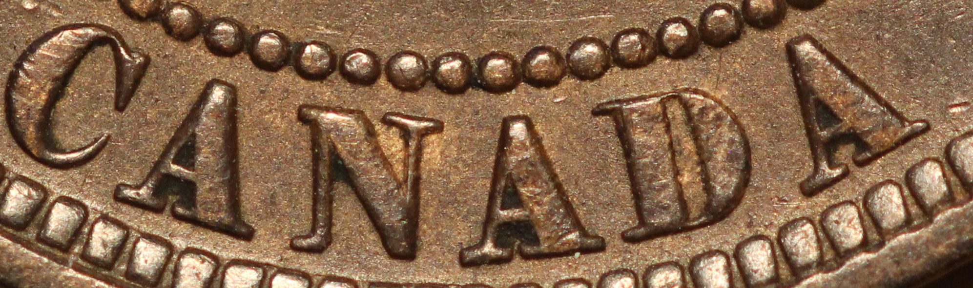 1876-Large-Cent-Finally-Got-One.