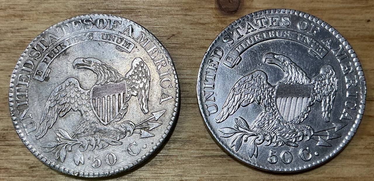 Auction-Lot-Described-As-Copy-Of-Capped-Bust-Half,-But-It's-Very-Similar-To-A-Genuine-Detecting-Find
