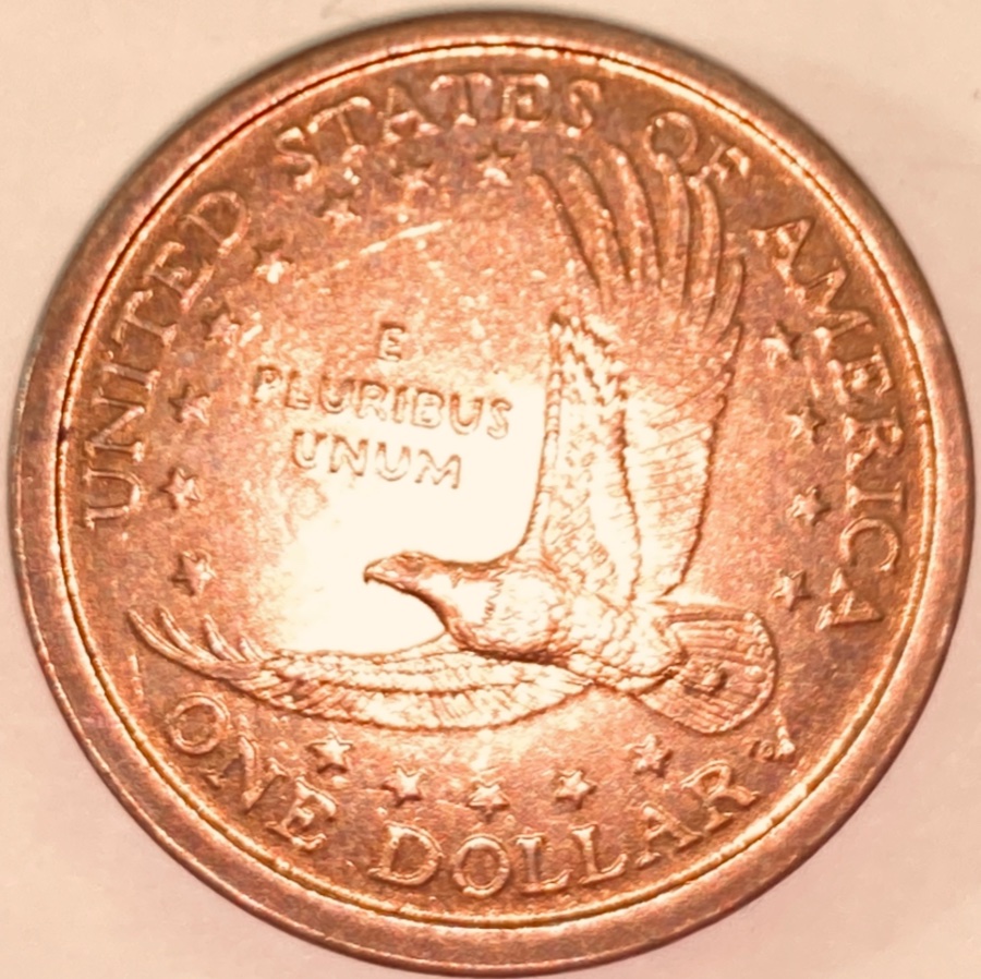 2000-P-Sacagawea-Double-Die?