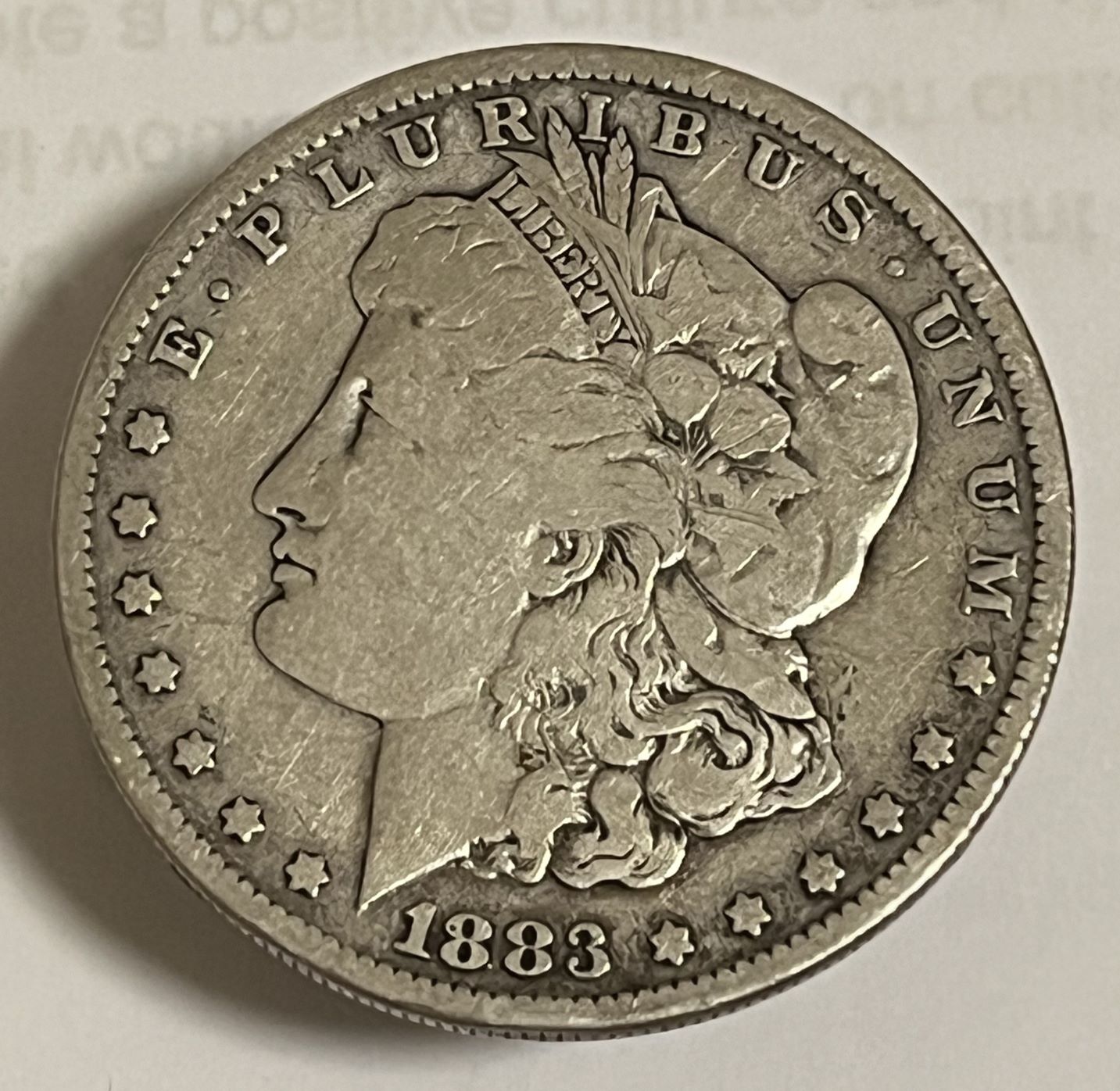 Questions-About-Circulated-Morgans