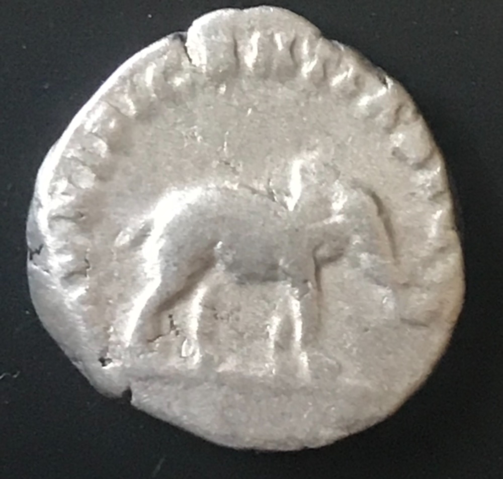Can't-Identify-Roman-Coin-Elephant-On-Back