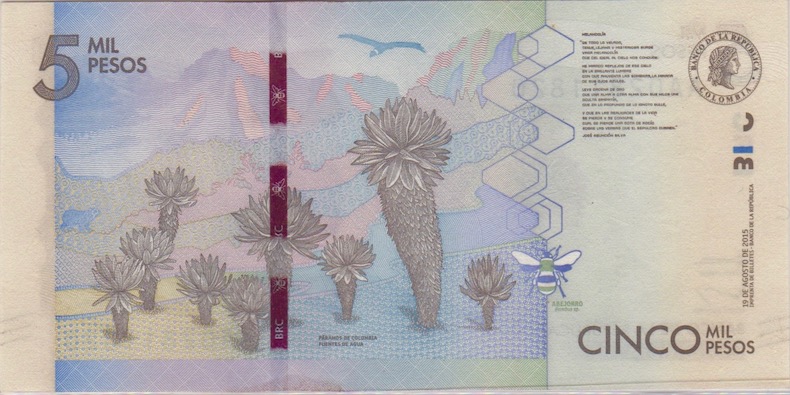 How-Far-Back-Can-We-Go?---With-Banknotes!-Third-Edition