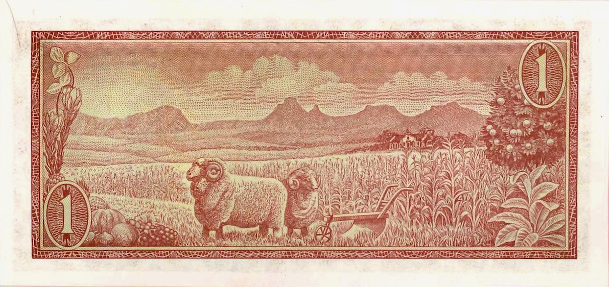 The-Value-Of-African-Banknotes
