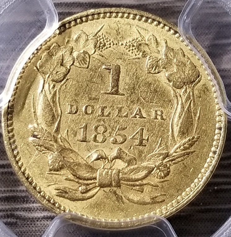 1854-Type-2-Indian-Princess-Dollar---Opinions?