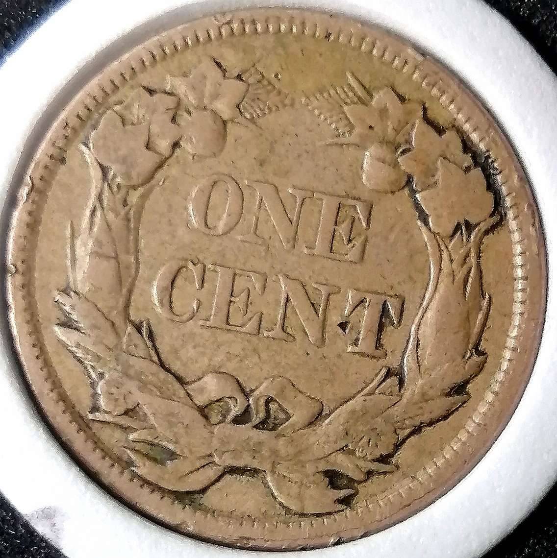 Flying-Eagle-And-Indian-Head-Cents-And-A-Future-Long-Term-Project