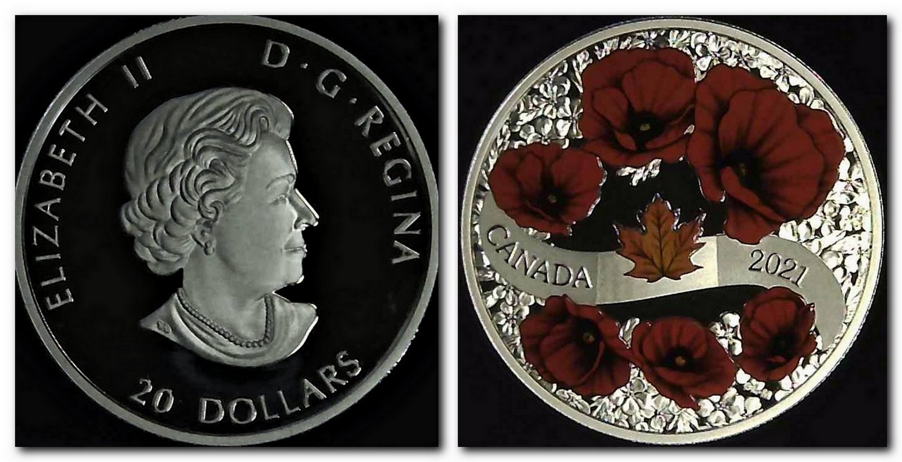 Post-Your-Most-Recent-Canadian-Coin-Purchases!