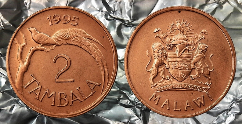 Around-The-World-With-Coins---A-Coin-Geography-Game