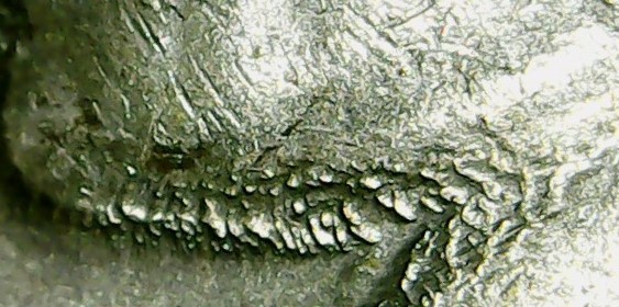 1955-P-Jefferson-Nickel-With-Odd-Flow-Marks-In-Design.