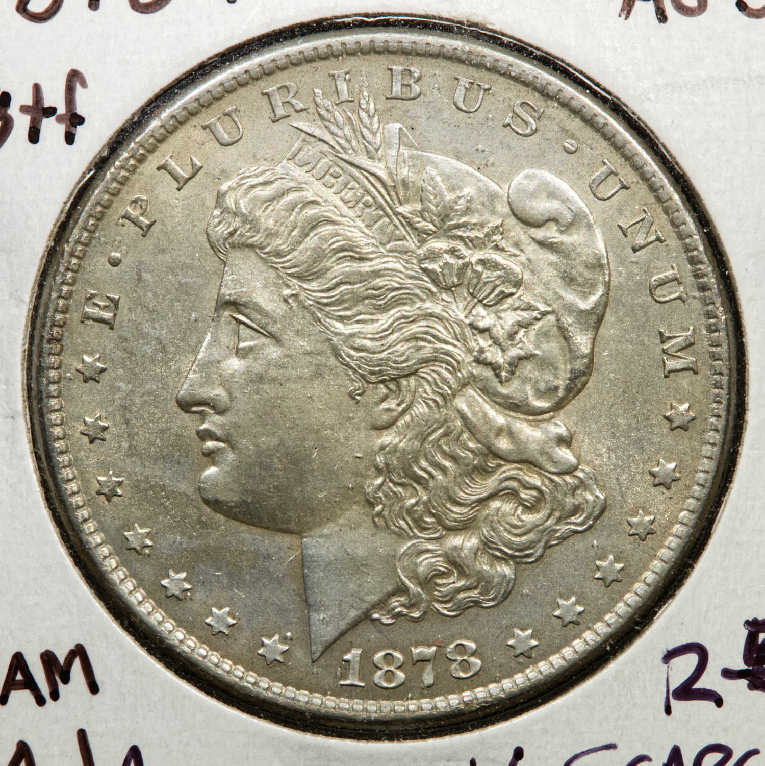 Clashed-1878-8TF-Morgan-Silver-Dollar-Solved---It's-A-14.1A