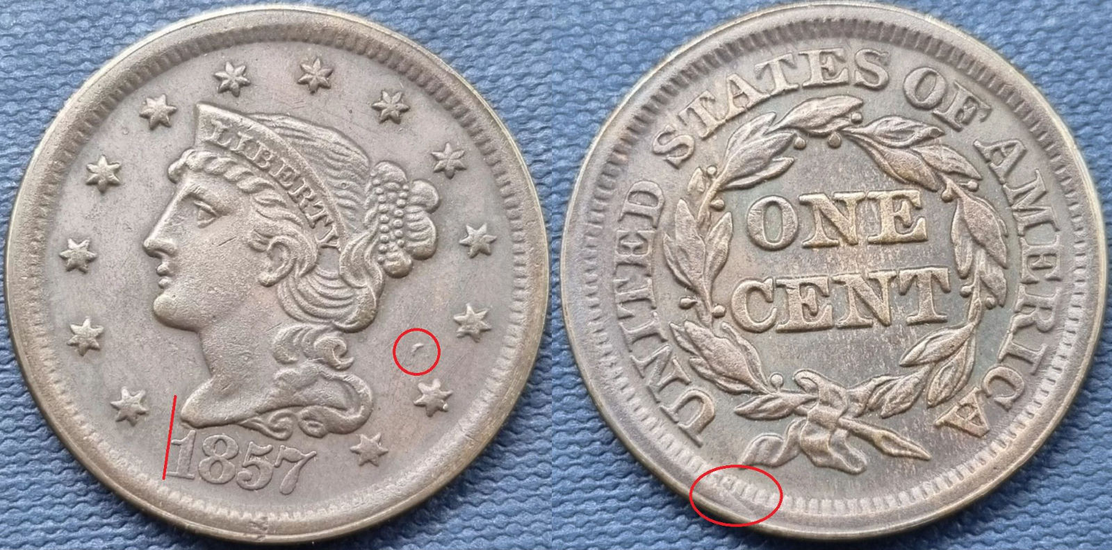 Give-Me-Your-Opinion-About-This-Ebay-Seller