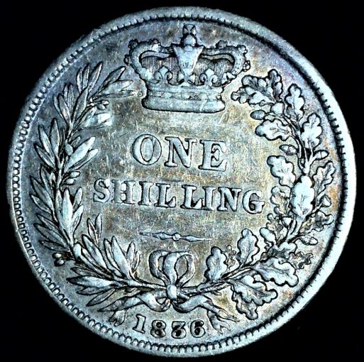 Opinions-Please-On-This-1836-Shilling