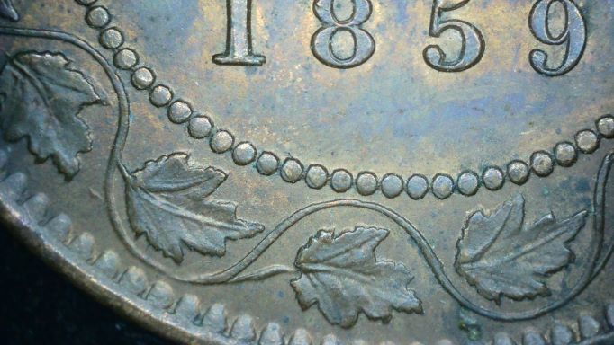 1859-Vicky-Is-A-Double-1-And-Double-8-Indicative-To-A-Certain-Haxby?