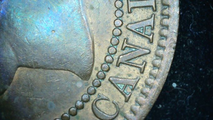 1859-Vicky-Is-A-Double-1-And-Double-8-Indicative-To-A-Certain-Haxby?