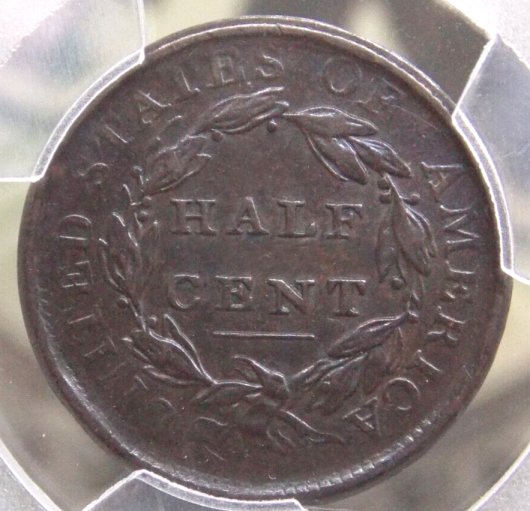 You-Vs-PCGS---1809/6-Half-Cent